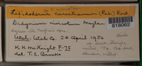 Image Associated With the Occurence